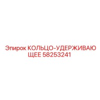 58253241 КОЛЬЦО-УДЕРЖИВАЮЩЕЕ Epiroc