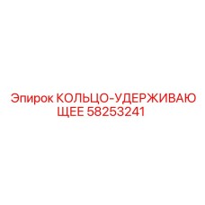 58253241 КОЛЬЦО-УДЕРЖИВАЮЩЕЕ Epiroc