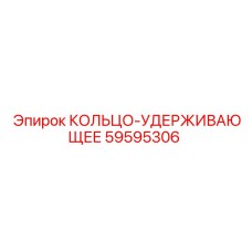 59595306 КОЛЬЦО-УДЕРЖИВАЮЩЕЕ Epiroc
