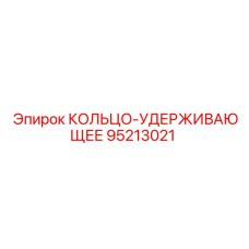 95213021 КОЛЬЦО-УДЕРЖИВАЮЩЕЕ Epiroc