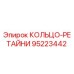 95223442 КОЛЬЦО-РЕТАЙНИ Epiroc