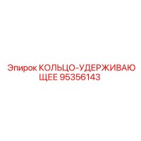 95356143 КОЛЬЦО-УДЕРЖИВАЮЩЕЕ Эпирок
