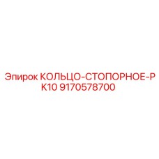 9170578700 КОЛЬЦО-СТОПОРНОЕ-PK10 Epiroc