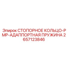 2657123846 Стопорное кольцо-PMP-адаппортная пружина Epiroc