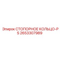 2653307989 Стопорное кольцо-PS Epiroc