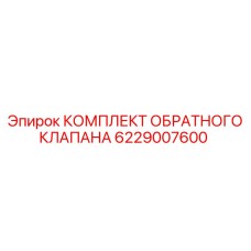 6229007600 КОМПЛЕКТ ОБРАТНОГО КЛАПАНА Epiroc