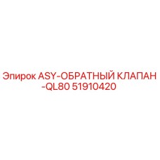 Оригинальный обратный клапан Epiroc арт.51910420 ASY-QL80 в разрезе