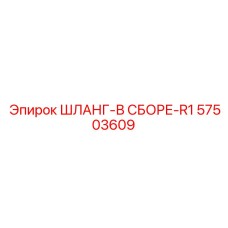 57503609 ШЛАНГ-В СБОРЕ-R1 Epiroc