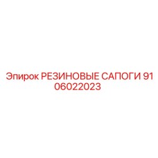 9106022023 РЕЗИНОВЫЕ САПОГИ Epiroc