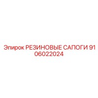 9106022024 РЕЗИНОВЫЕ САПОГИ Epiroc