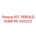 RF-002223 KIT, REBUILD, PUMP Epiroc