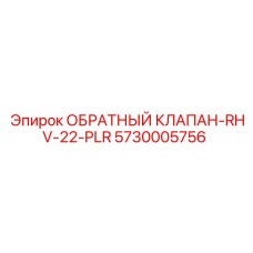 5730005756 ОБРАТНЫЙ КЛАПАН-RHV-22-PLR Epiroc