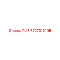 5727012195 РИБ Epiroc