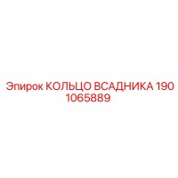 1901065889 КОЛЬЦО ВСАДНИКА Epiroc