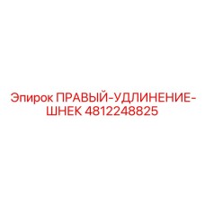 4812248825 ПРАВЫЙ-УДЛИНЕНИЕ-ШНЕК Epiroc