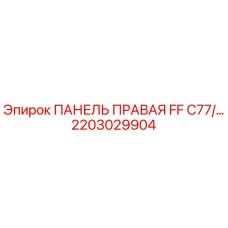 2203029904 ПАНЕЛЬ ПРАВАЯ FF C77 Эпирок