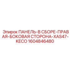 1604846480 ПАНЕЛЬ-В СБОРЕ-ПРАВАЯ-БОКОВАЯ СТОРОНА-XAS47-KECO Epiroc