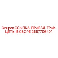 2657796401 ССЫЛКА-ПРАВАЯ-ТРАК-ЦЕПЬ-В СБОРЕ Epiroc