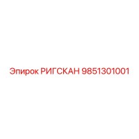 9851301001 РИГСКАН Epiroc