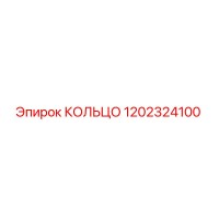 1202324100 КОЛЬЦО Epiroc