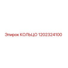1202324100 КОЛЬЦО Epiroc