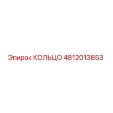 4812013853 КОЛЬЦО Epiroc