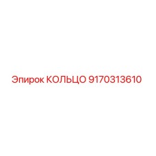 9170313610 КОЛЬЦО Epiroc