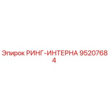95207684 РИНГ-ИНТЕРНА Epiroc