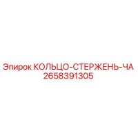 2658391305 КОЛЬЦО-СТЕРЖЕНЬ-ЧА Epiroc