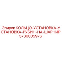 5730005976 КОЛЬЦО-УСТАНОВКА-УСТАНОВКА-РУБИН-НА-ШАРНИР Epiroc
