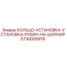 5730005976 КОЛЬЦО-УСТАНОВКА-УСТАНОВКА-РУБИН-НА-ШАРНИР Epiroc