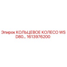 1613976200 КОЛЬЦЕВОЕ КОЛЕСО WSD80… Epiroc