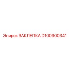 D100900341 ЗАКЛЕПКА Epiroc