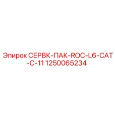 1250065234 СЕРВК-ПАК-ROC-L6-CAT-C-11 Epiroc