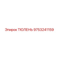 9753241159 ТЮЛЕНЬ Epiroc