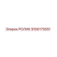 9106175551 РОЛИК Epiroc