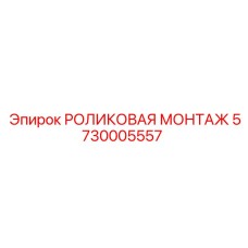 5730005557 РОЛИКОВАЯ МОНТАЖ Epiroc