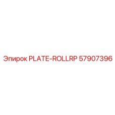 57907396 PLATE-ROLLRP от Epiroc