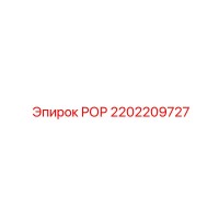 2202209727 ROP Part for Epiroc Drill Rig