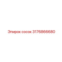 3176866680 Сосок Epiroc