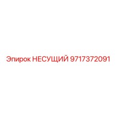 Многофункциональная несущая платформа 9717372091 Epiroc