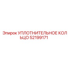 52199171 УПЛОТНИТЕЛЬНОЕ КОЛЬЦО Epiroc
