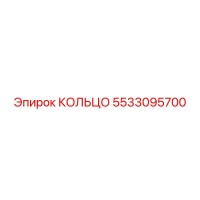 5533095700 КОЛЬЦО Epiroc