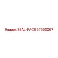 57553067 SEAL-FACE Epiroc