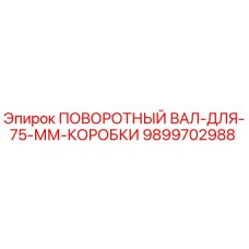 9899702988 ПОВОРОТНЫЙ ВАЛ-ДЛЯ-75-ММ-КОРОБКИ Epiroc