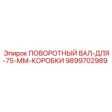 9899702989 ПОВОРОТНЫЙ ВАЛ-ДЛЯ-75-ММ-КОРОБКИ Epiroc