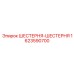 1623590700 ШЕСТЕРНЯ-ШЕСТЕРНЯ Epiroc