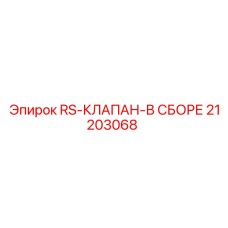 21203068 RS-КЛАПАН-В СБОРЕ Epiroc