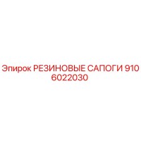 9106022030 РЕЗИНОВЫЕ САПОГИ Epiroc