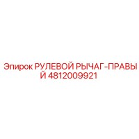 4812009921 РУЛЕВОЙ РЫЧАГ-ПРАВЫЙ Epiroc